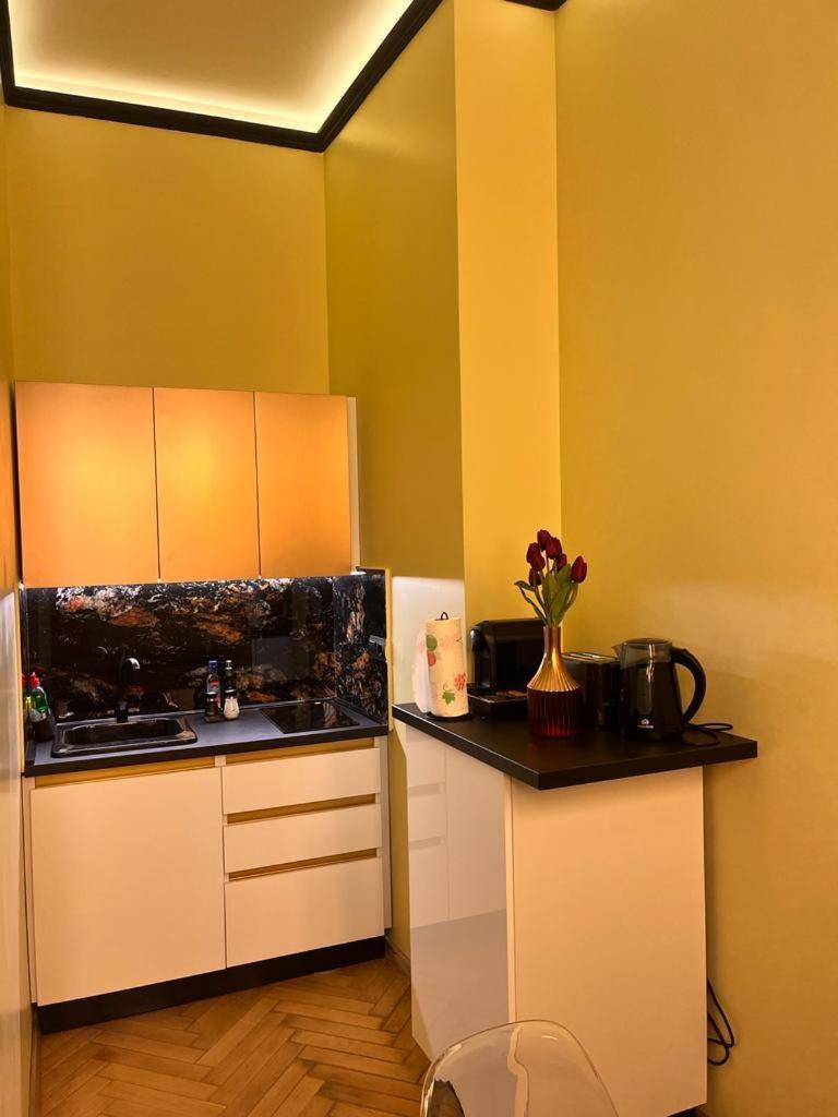 Urban Central Apartments Brassó Kültér fotó